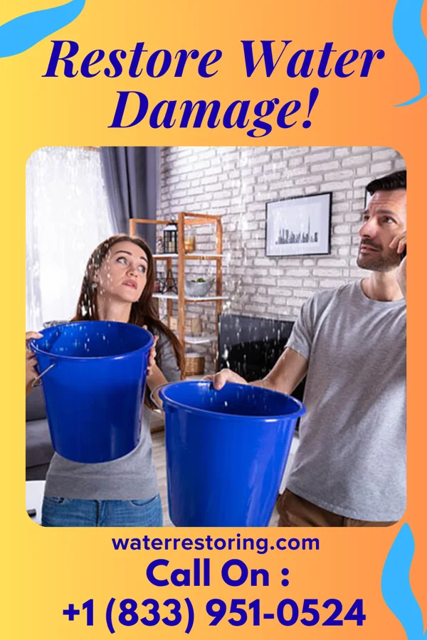 water restoration Pinnacle Damage Recovery LLC Highlands Ranch